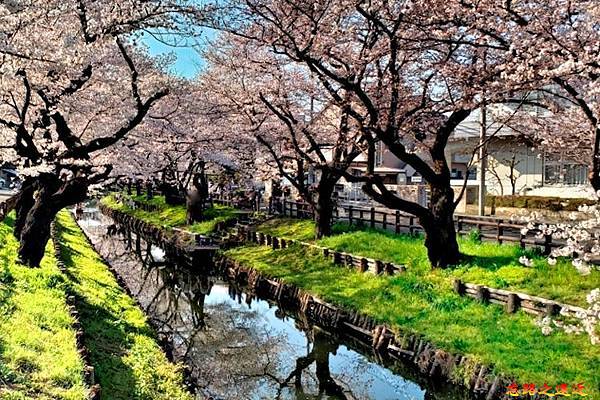 pic pimg tw look2up 1600399881 2145583629 g n jpg