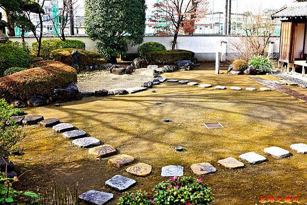 pic pimg tw look2up 1600920352 2275056645 g n jpg