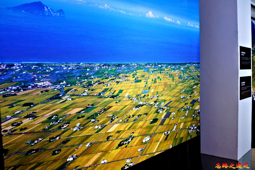 pic pimg tw look2up 1604050522 3223342135 g jpg