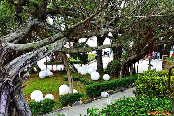 pic pimg tw look2up 1604390260 4182917819 g n jpg