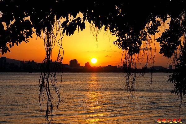 pic pimg tw look2up 1604390360 989364312 g n jpg