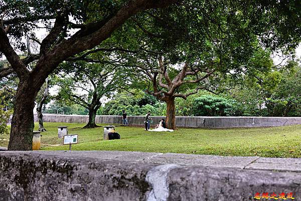 pic pimg tw look2up 1605937507 2604876303 g n jpg