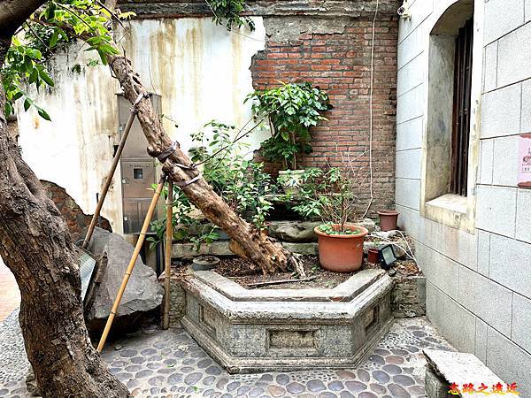 pic pimg tw look2up 1610683009 642785630 g n jpg