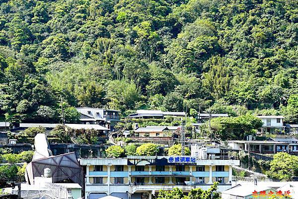 pic pimg tw look2up 1616392899 3216814259 g n jpg