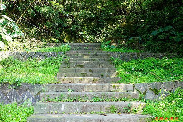 pic pimg tw look2up 1616911112 3185668910 g n jpg