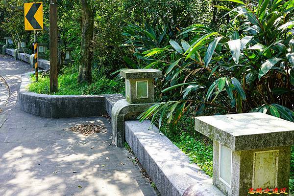 pic pimg tw look2up 1616911112 471946975 g n jpg