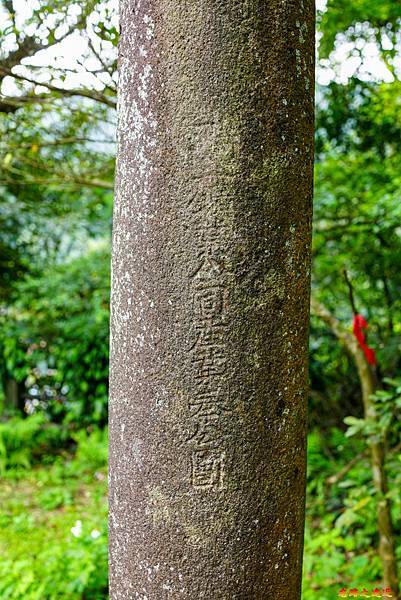 pic pimg tw look2up 1616911115 2716241058 g n jpg