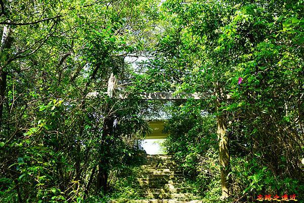 pic pimg tw look2up 1616911118 696685713 g n jpg