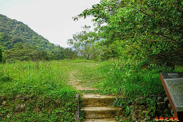 pic pimg tw look2up 1616911120 46147912 g n jpg