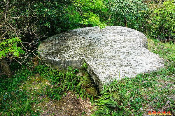 pic pimg tw look2up 1616911121 2842500460 g n jpg