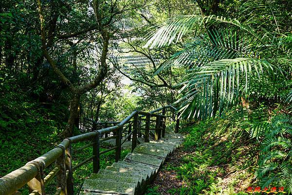 pic pimg tw look2up 1616911123 2611094324 g n jpg