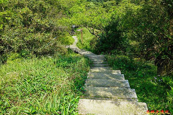 pic pimg tw look2up 1616911123 3420126189 g n jpg