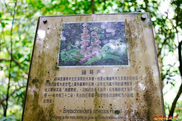 pic pimg tw look2up 1616911123 4051541780 g n jpg