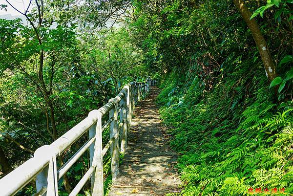 pic pimg tw look2up 1616911124 1107142319 g n jpg