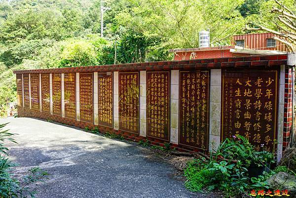 pic pimg tw look2up 1616911127 3411277312 g n jpg