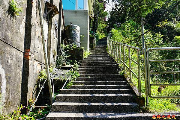 pic pimg tw look2up 1616911129 2715687317 g n jpg