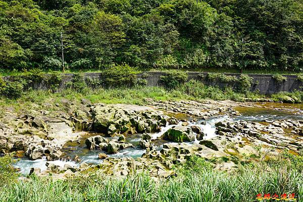 pic pimg tw look2up 1617766360 3271160818 g n jpg