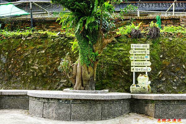 pic pimg tw look2up 1618455966 482005875 g n jpg