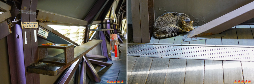 pic pimg tw look2up 1618455970 3127311751 g l jpg