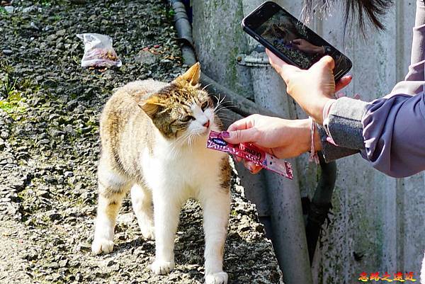 pic pimg tw look2up 1618455970 3141981173 g n jpg