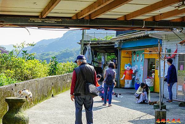 pic pimg tw look2up 1618455973 1313898301 g n jpg