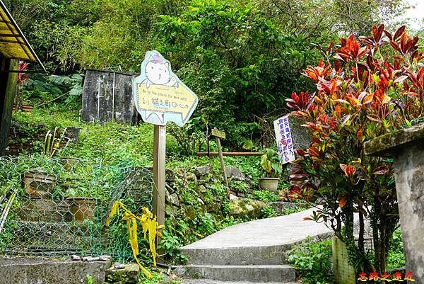 pic pimg tw look2up 1618455984 248346292 g n jpg