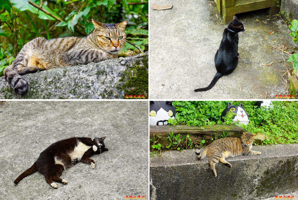 pic pimg tw look2up 1618455986 3786755016 g jpg