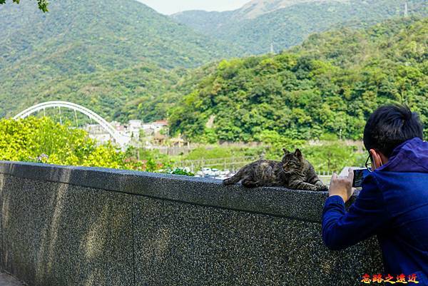 pic pimg tw look2up 1618543632 2154427759 g n jpg