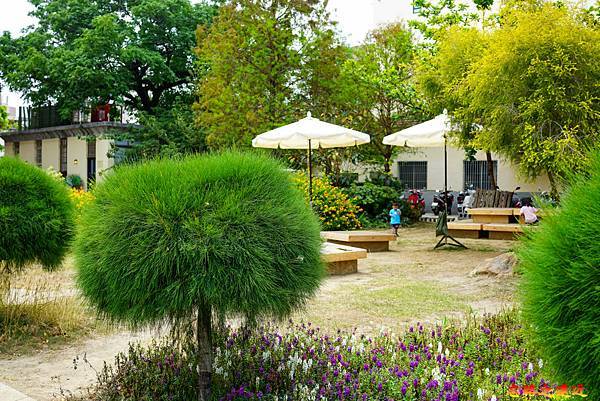 pic pimg tw look2up 1619775457 4209672398 g n jpg