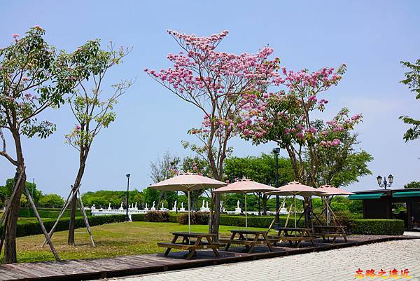 pic pimg tw look2up 1629171886 2027531043 g n jpg