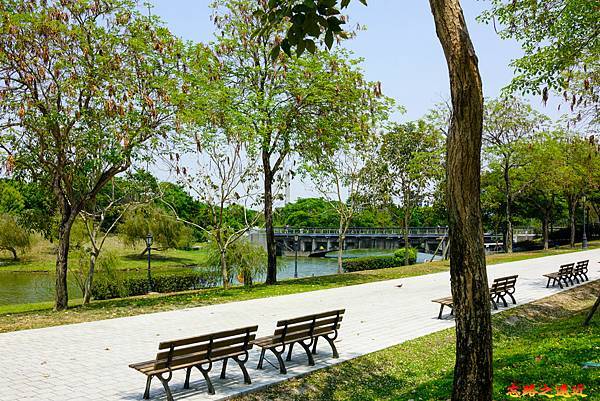 pic pimg tw look2up 1629171887 2565576954 g n jpg