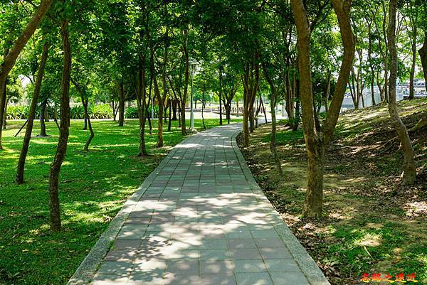 pic pimg tw look2up 1629171888 3332942225 g n jpg