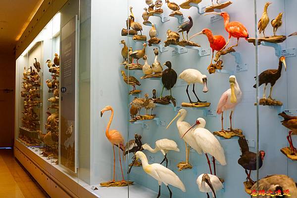 pic pimg tw look2up 1630915287 2253181884 g n jpg