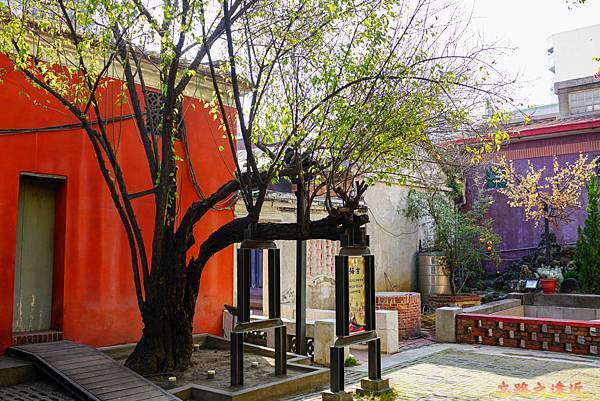 pic pimg tw look2up 1642307520 1640142546 g n jpg