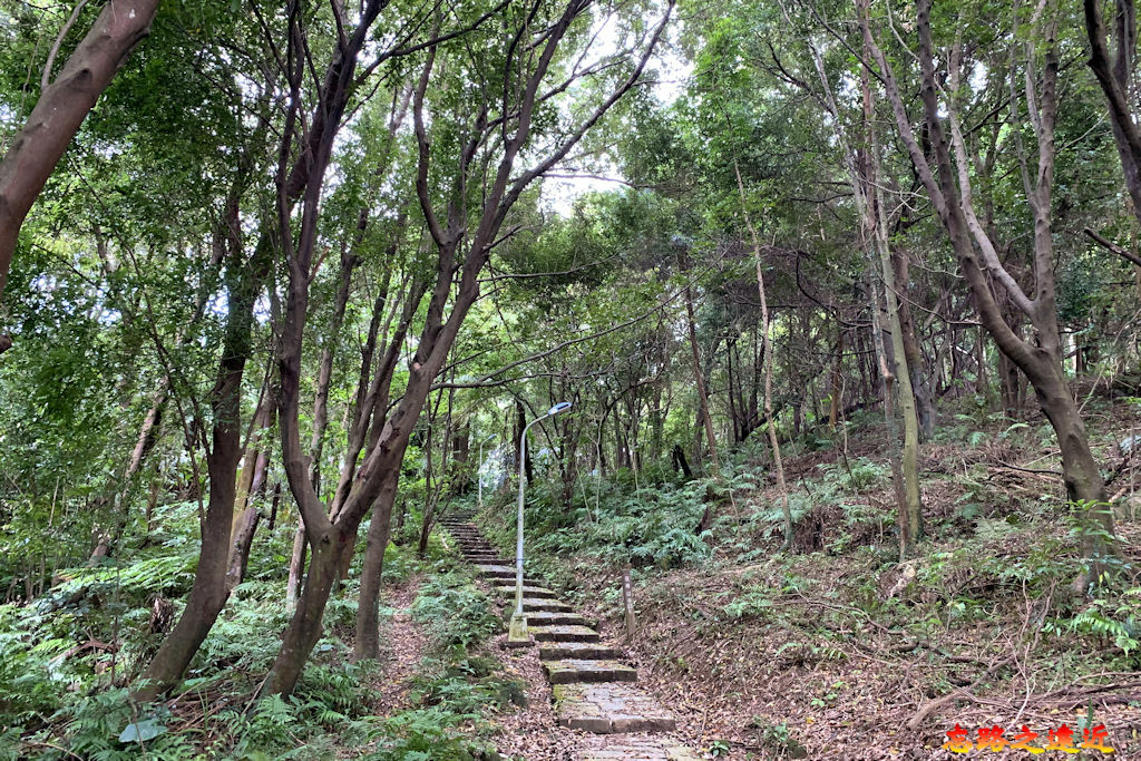 【台北.文山區】<步道散策> 「飛龍步道」 『政大後山-樟山寺』~ 貓空步道群之 1 19 pic pimg tw look2up 1657514339 2865846716 g jpg