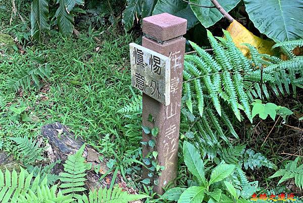 【台北.文山區】<步道散策> 「飛龍步道」 『政大後山-樟山寺』~ 貓空步道群之 1 21 pic pimg tw look2up 1657514339 3863175928 g n jpg