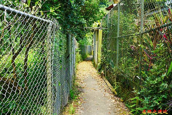 pic pimg tw look2up 1658983935 3628604885 g n jpg