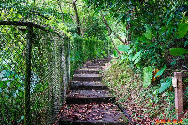 pic pimg tw look2up 1658983937 201773965 g n jpg