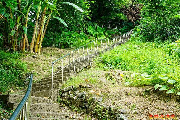 pic pimg tw look2up 1658983937 3977754823 g n jpg