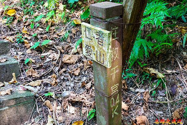 pic pimg tw look2up 1658983938 589609299 g n jpg