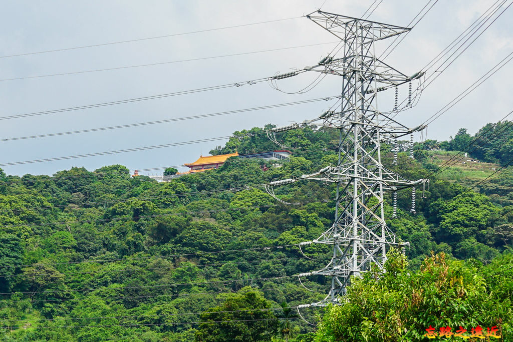 pic pimg tw look2up 1658983939 2810919572 g jpg