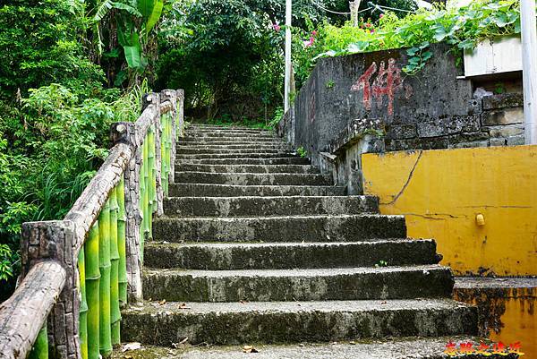 pic pimg tw look2up 1658983939 3015984178 g n jpg