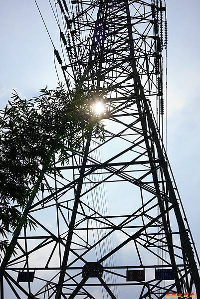 pic pimg tw look2up 1658983939 822159680 g n jpg