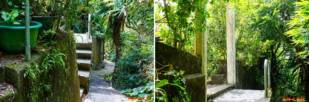 pic pimg tw look2up 1658983941 3340378781 g jpg