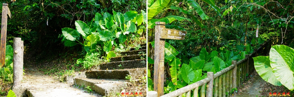 pic pimg tw look2up 1658983941 500499303 g jpg