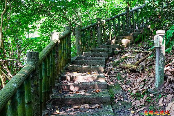 pic pimg tw look2up 1658983941 637049739 g n jpg