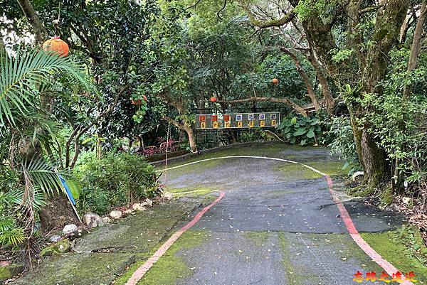 pic pimg tw look2up 1658983943 3055376005 g n jpg