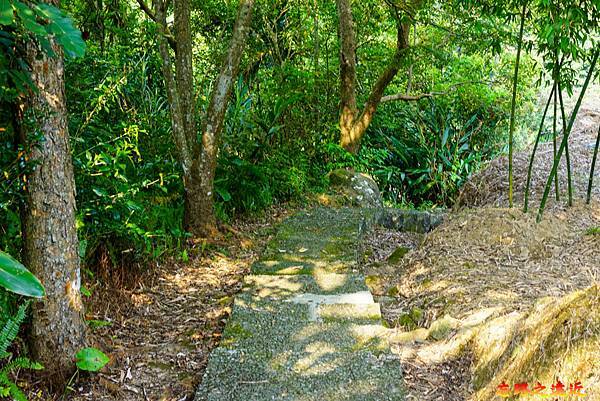 pic pimg tw look2up 1658983945 1079790919 g n jpg