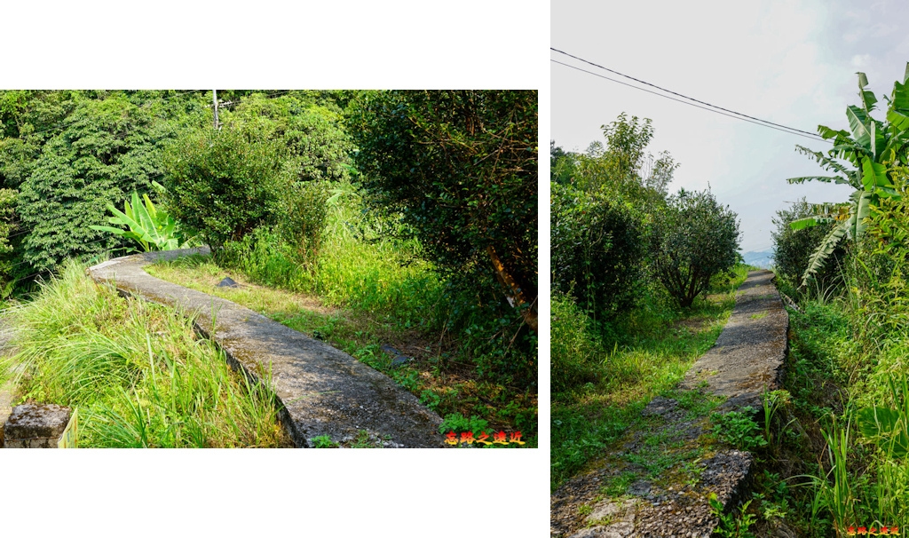 pic pimg tw look2up 1658983945 1365345369 g jpg