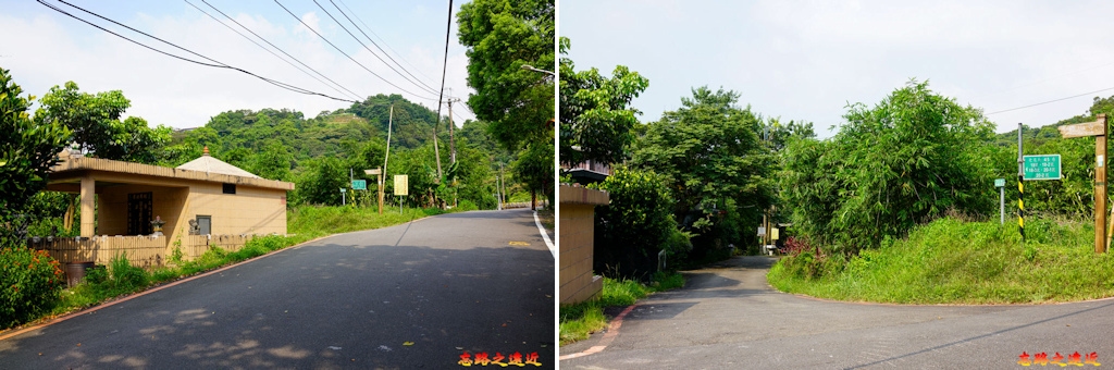 pic pimg tw look2up 1658983945 3023789126 g jpg